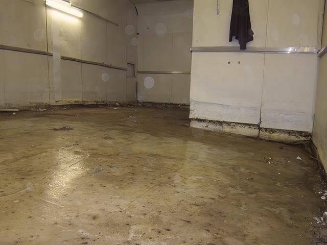 poultry-unit (4)-kireth-ai